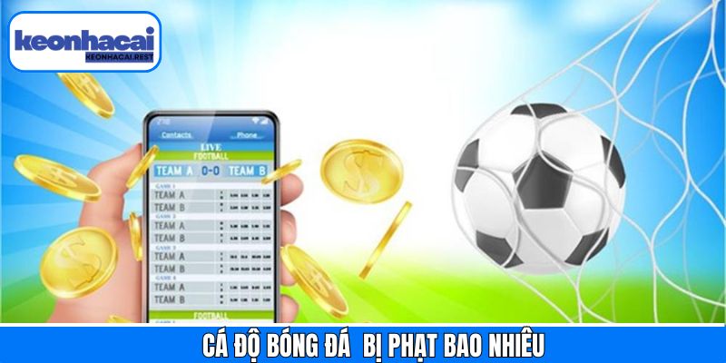 Cá Độ Bóng Đá Bị Phạt Bao Nhiêu - Tìm Hiểu Cùng Keonhacai