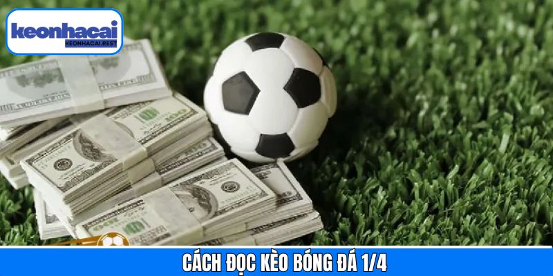 Tìm hiểu về cách đọc kèo và kèo cược bóng đá 1/4