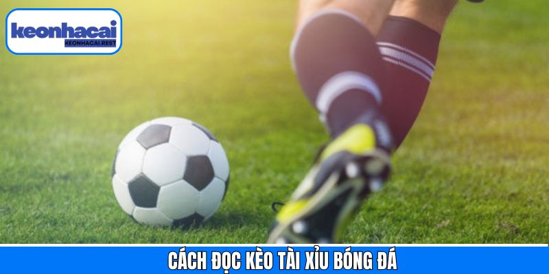 Nắm rõ về cách đọc kèo tài xỉu bóng đá chính xác 