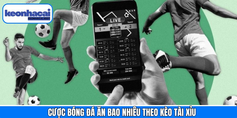 Hướng dẫn tính cược bóng đá ăn bao nhiêu ở kèo Tài xỉu