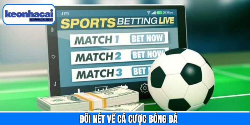 Nét chính về sức hút của cá độ bóng đá