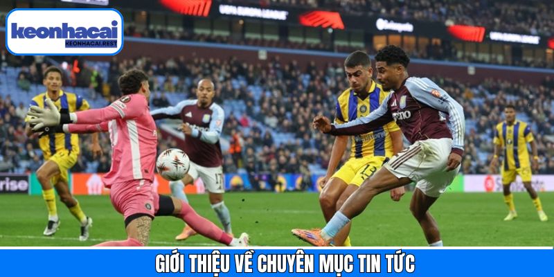 Đôi nét tổng quan về các tin tức