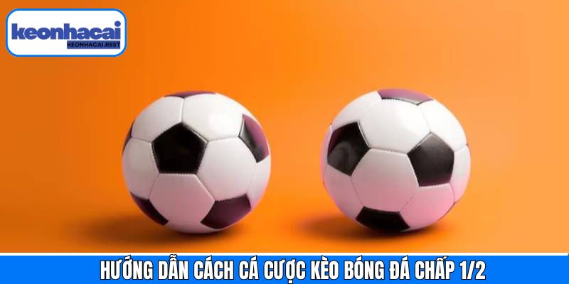 Hướng dẫn chi tiết chơi kèo bóng đá chấp 1/2 dành cho hội viên