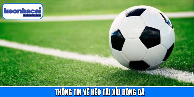 Sơ lược chung về kèo tài xỉu bóng đá