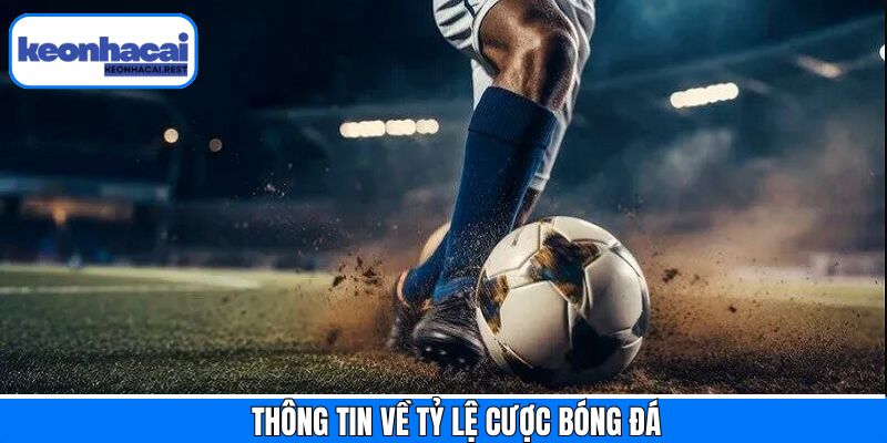 Thuật ngữ cơ bản trong cá cược bóng đá ở Keonhacai