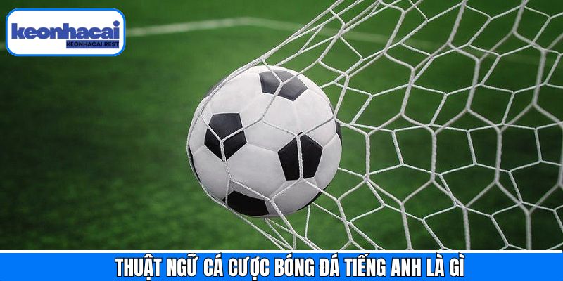 Thuật ngữ cơ bản trong cá cược bóng đá tiếng anh là gì