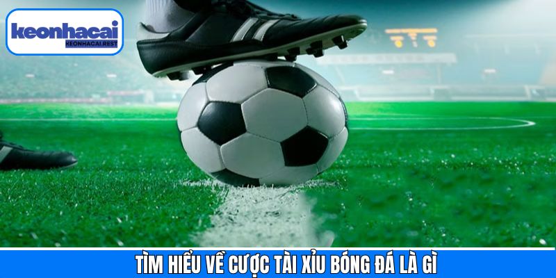 Giải thích về cược tài xỉu bóng đá là gì