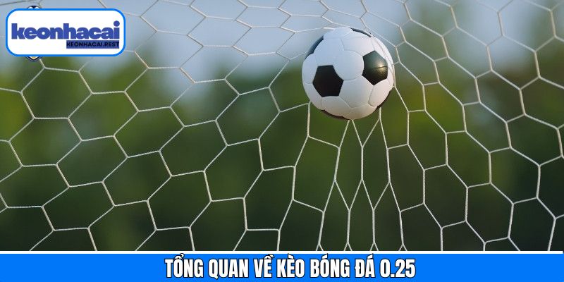 Đôi nét tìm hiểu chung về hình thức kèo bóng đá 0.25
