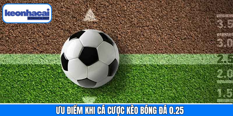 Ưu điểm hấp dẫn khi lựa chọn cá cược kèo bóng đá 0.25