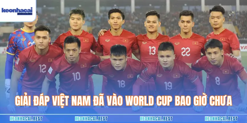 Giải đáp Việt Nam đã vào World Cup bao giờ chưa